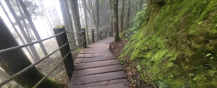杉林溪.山中小徑(李建崑攝影)