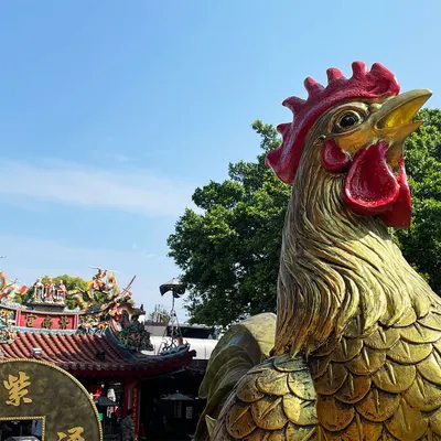 南投竹山紫南宮 | 善借發財金最多的金雞土地公 🐓