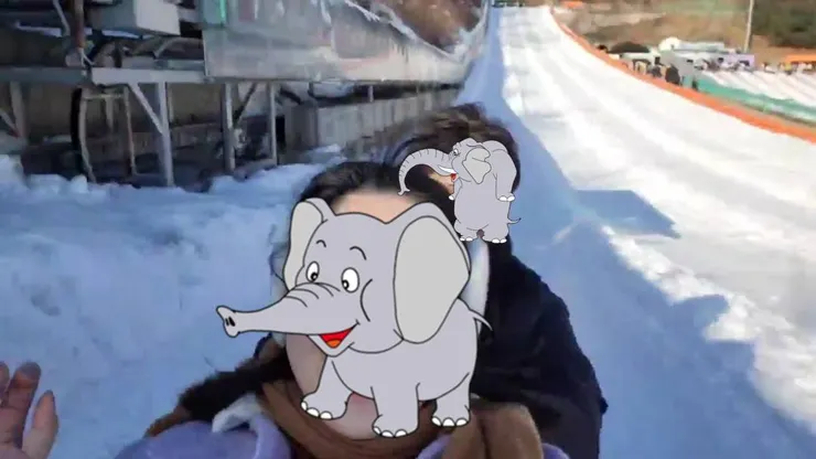 條條雪橇場體驗