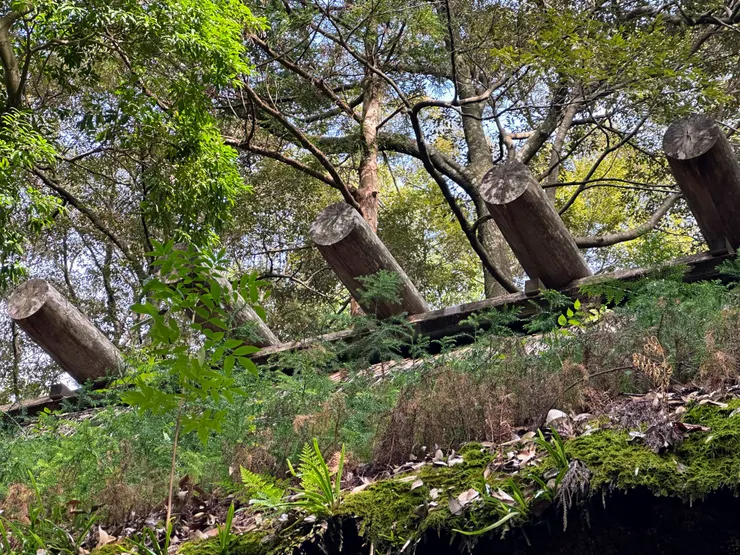 仔細看屋頂長出來的小苗，充滿療癒的力量