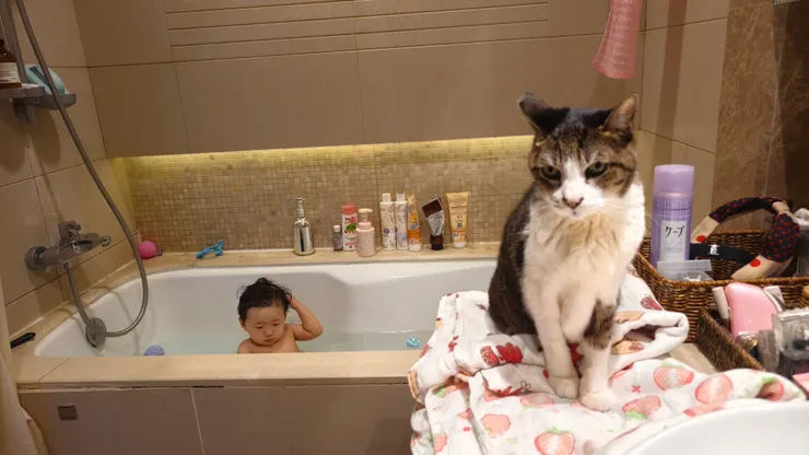 陪小哈利一起洗澡．