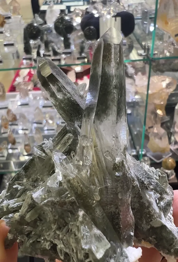 東京礦展,來自尼泊爾Ganesh Himal共生角閃石的水晶