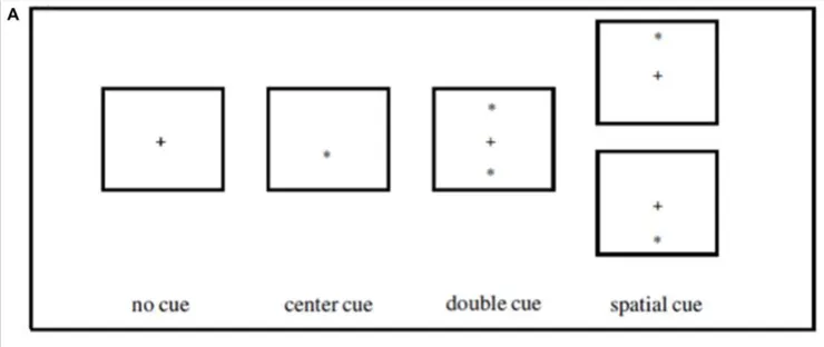 ANT 提示，總共有 4 種提示情境