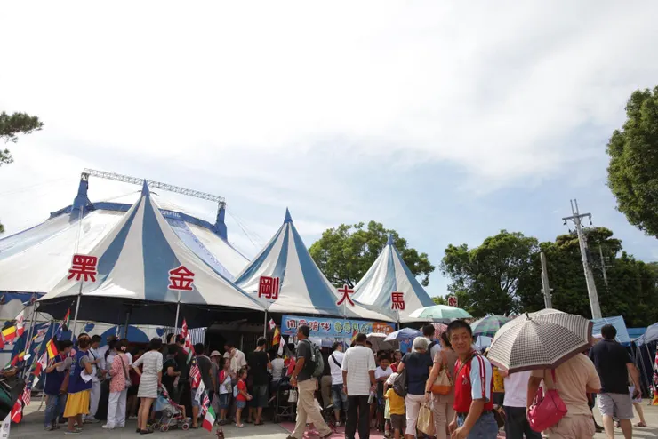 那一年帶兩歲多的哥哥看馬戲是台中榮總當時為特殊兒辦的活動。暑假看戲很挑戰這些孩子的生理狀況。