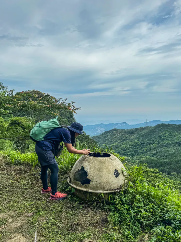 圓桶裡有水,水裡住著好幾隻大大小小的翠綠色青蛙