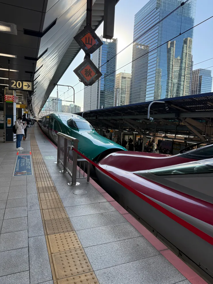 東北新幹線,紅色的車廂在盛岡會分離前往秋田。