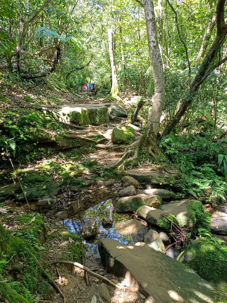 【雙北遊】三貂嶺瀑布步道走到猴硐｜中坑古道×柴寮古道  猴硐