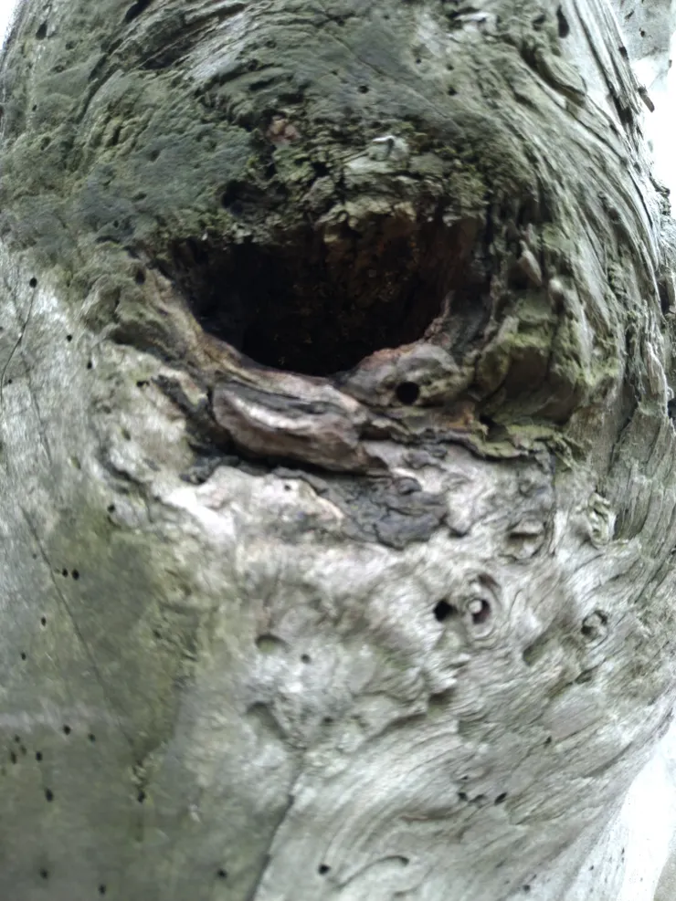 往前走只剩一個黝黑的真相等著。