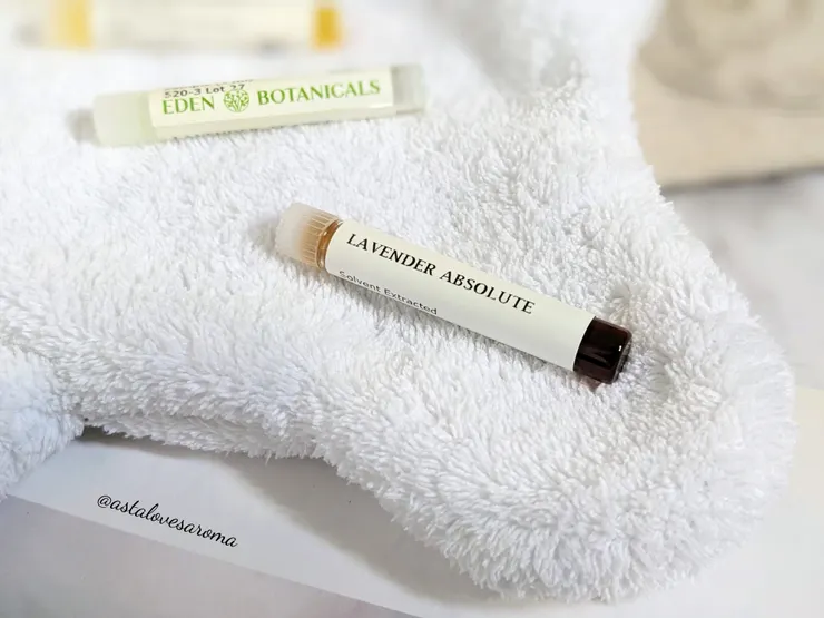 法國 薰衣草原精