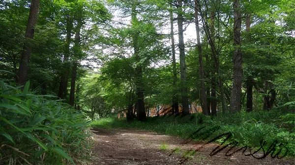 現代人為了追求心靈平靜,還特地上山參加靜坐、瑜珈等課程。