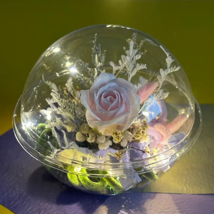 光明和陰影，都是花園的一部分