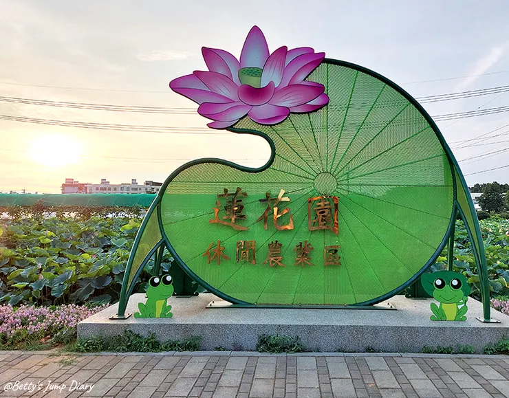 ▲2024桃園蓮花季/圖片來源:Betty's Jump Diary
