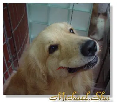 2003年的麥麥真是可愛(文不對題)