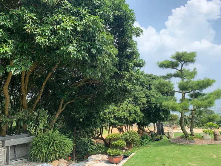 這一側也種滿了各種植物。