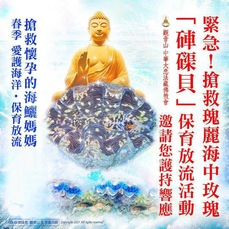 搶救瑰麗海中玫瑰~硨磲貝