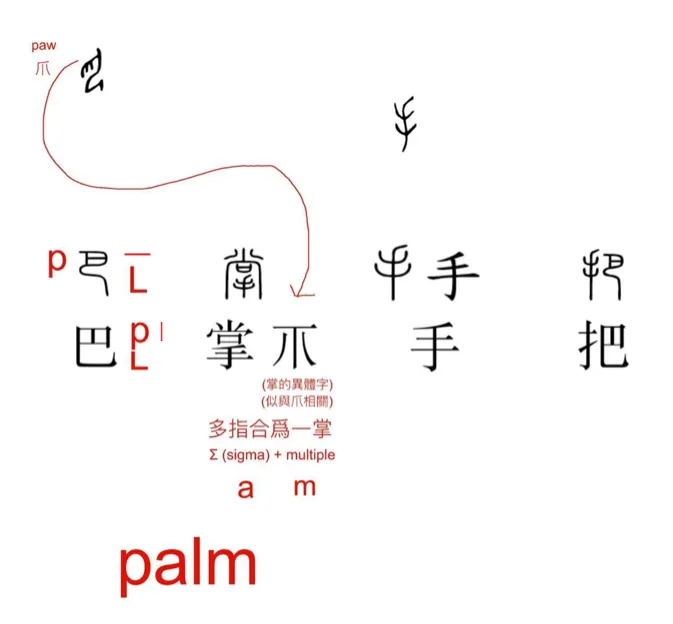 【附圖：「巴、掌、手、把」字形演化及其與 palm 的橋接關係】