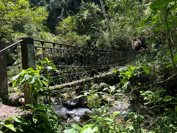 馬胎古道