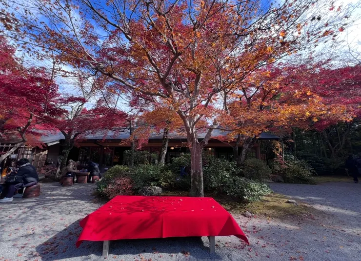 坐下來享用一杯枺茶，愉悅～