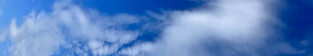 Hsin Hui Yang的沙龍