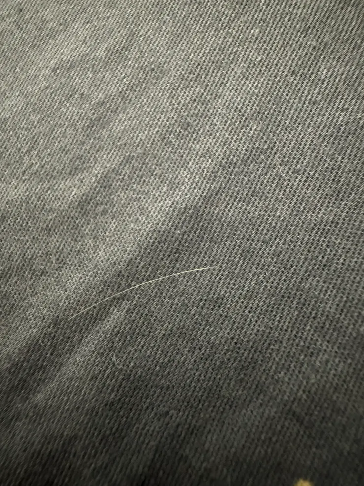 2025/11/03 晚上看到圓圓毛在新床單上