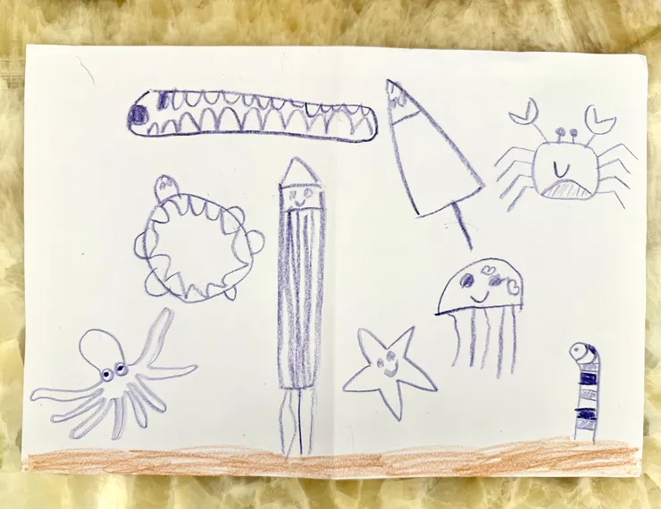 兒子的海底世界