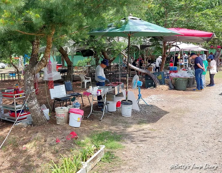 ▲2025花現台七「桃園繡球金針農遊趣」/ 圖片來源：Betty's Jump Diary