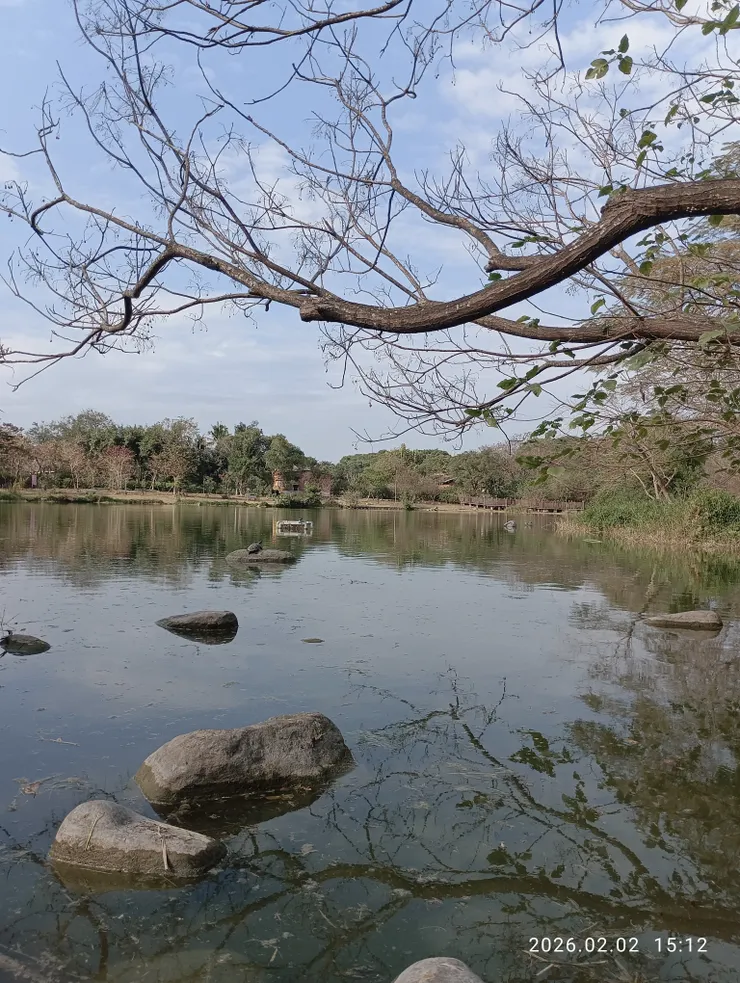 木葉盡脫新水漫，皆自拍攝