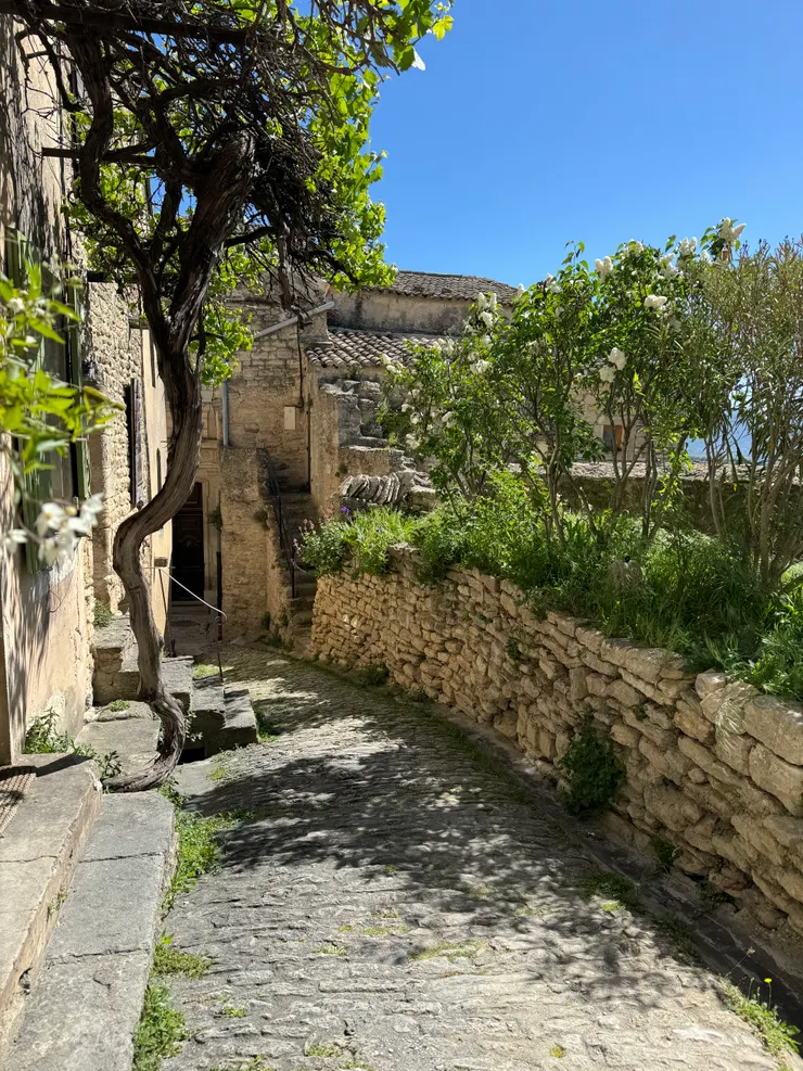 陽光灑下來，靜謐中的美