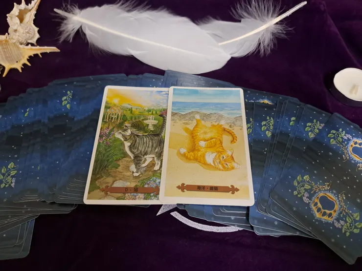 翻成傳統塔羅是0愚人 聖杯騎士