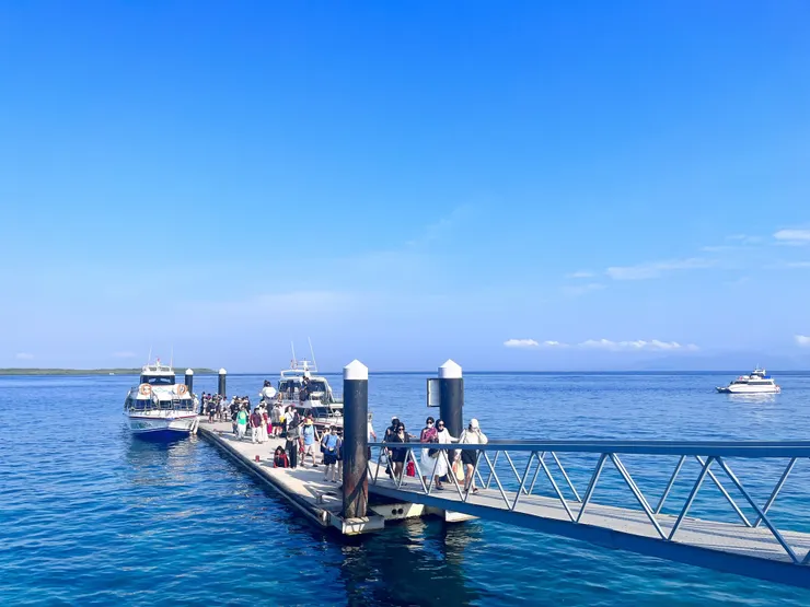 （Claire Chen提供）