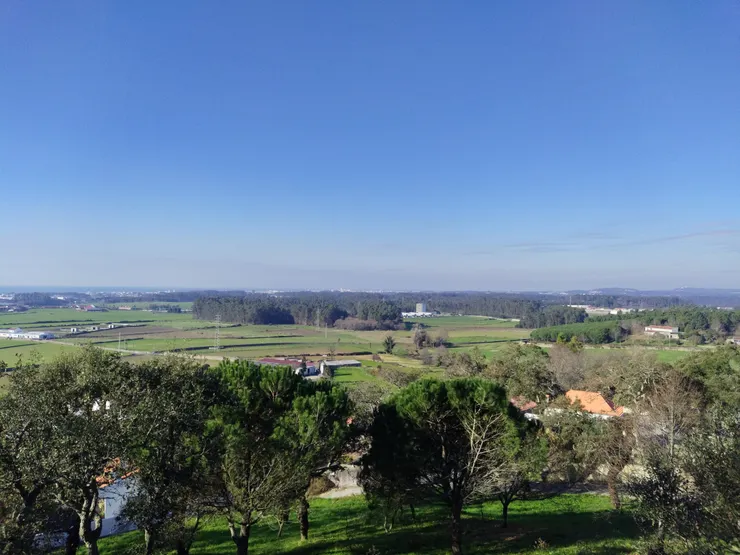 一望無際的鄉間景觀