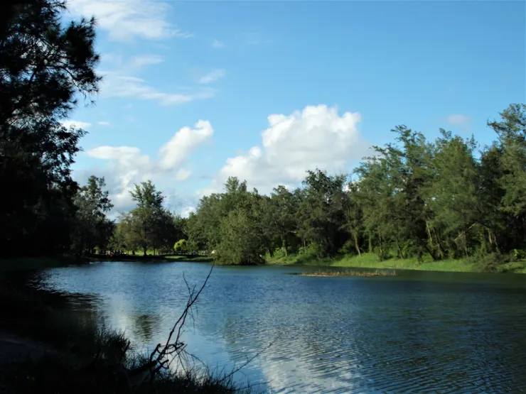 臺東森林公園琵琶湖一偶