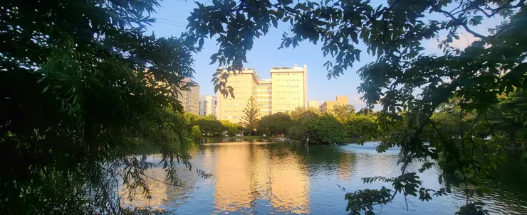 中興湖(李建崑攝影)