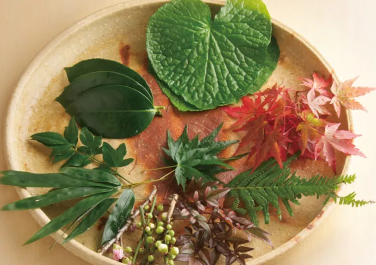 つまもの - 株式会社いろどり](https://irodori.co.jp/tsumamono/)