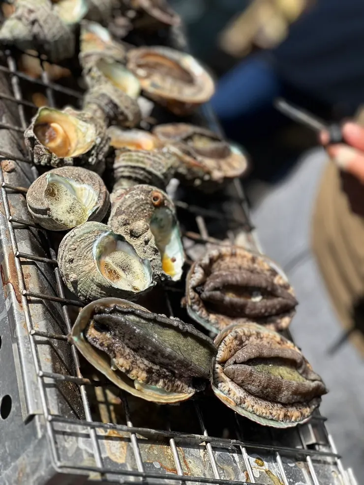 途中經過的社區活動，有烤牡蠣 鮑魚 螺類等等。