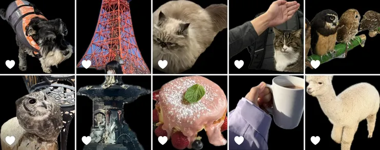 看到黑底圖片就成功啦！