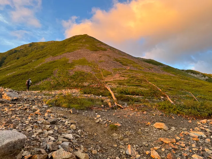 樹好彎。真是辛苦了。
