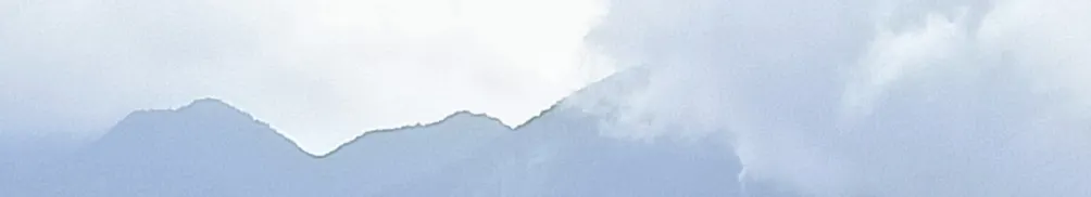 三峽巴菲特的沙龍