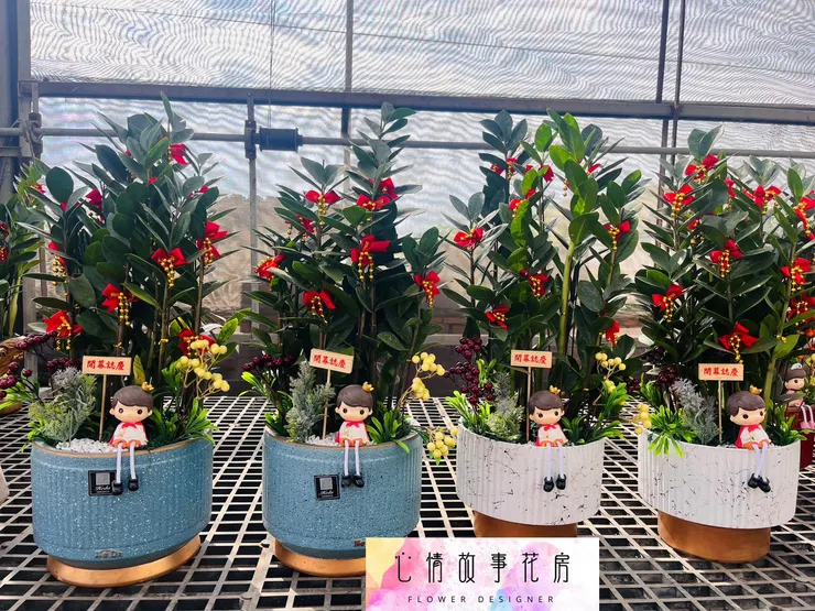 心情故事花房 | 精緻盆栽，優雅送禮新選擇  台南花店推薦  台南盆栽