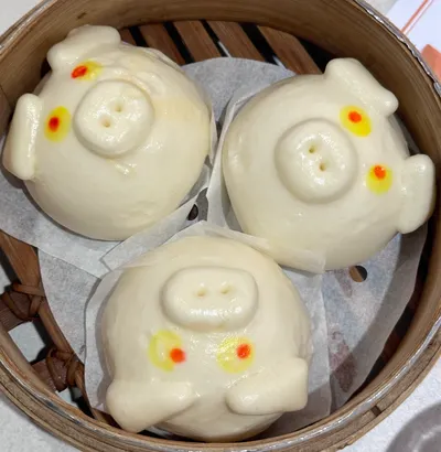 全糖謝律師的沙龍