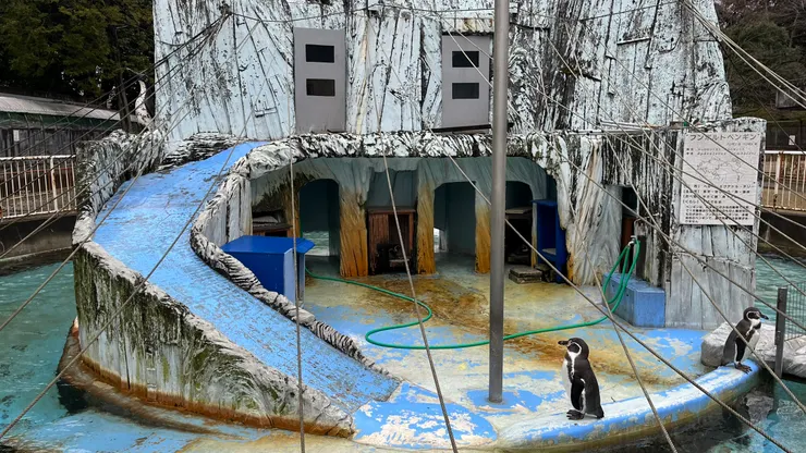 通道看起來好像滑水道。