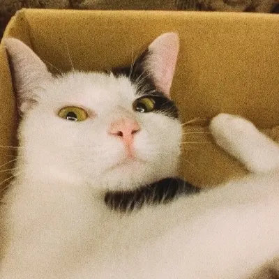 關你屁事的沙龍