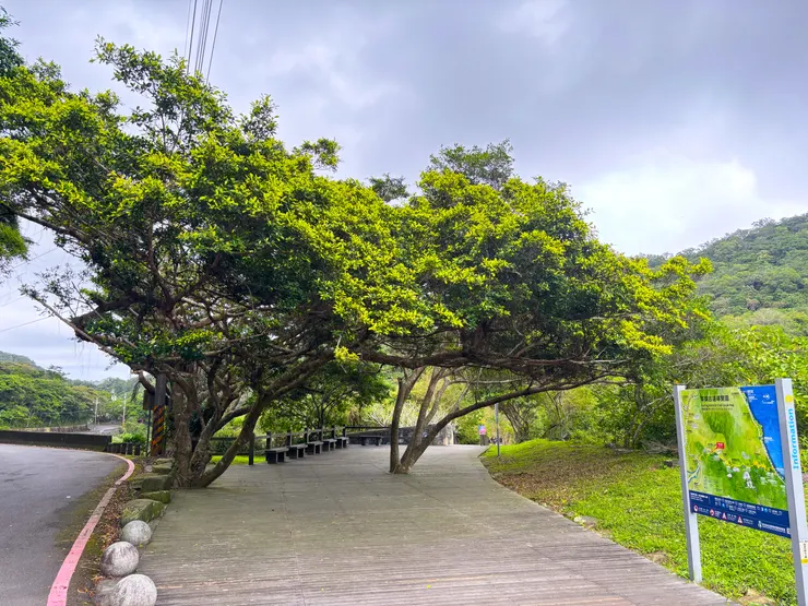 大樹涼亭(自行拍攝)