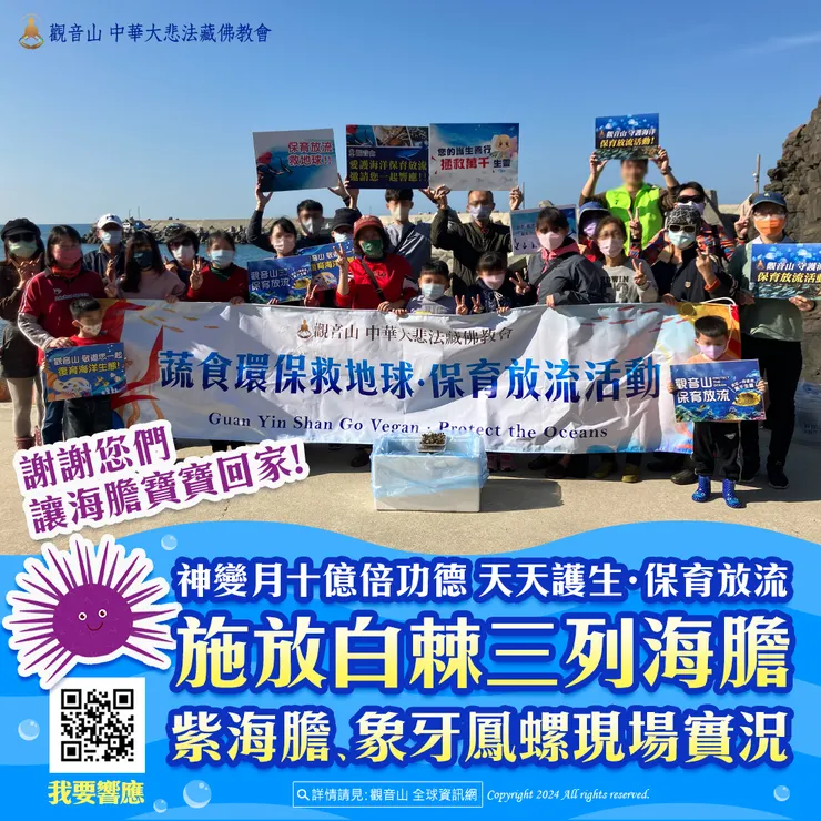 觀音山 神變月十億倍功德 天天護生‧保育放流 施放白棘三列海膽、紫海膽、象牙鳳螺現場實況