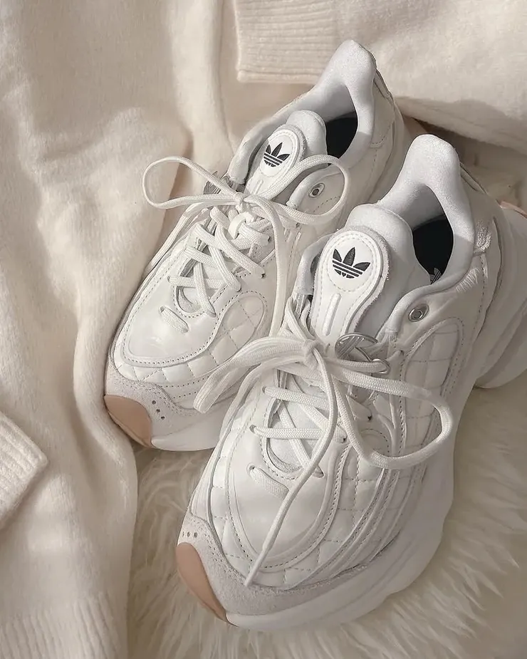 圖片來源：網路