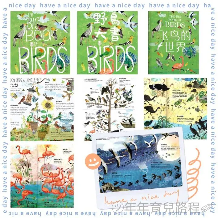 烏瓦爾．佐梅爾-野鳥大書BIRDS/飛鳥的世界(The Big Book of the Bird)