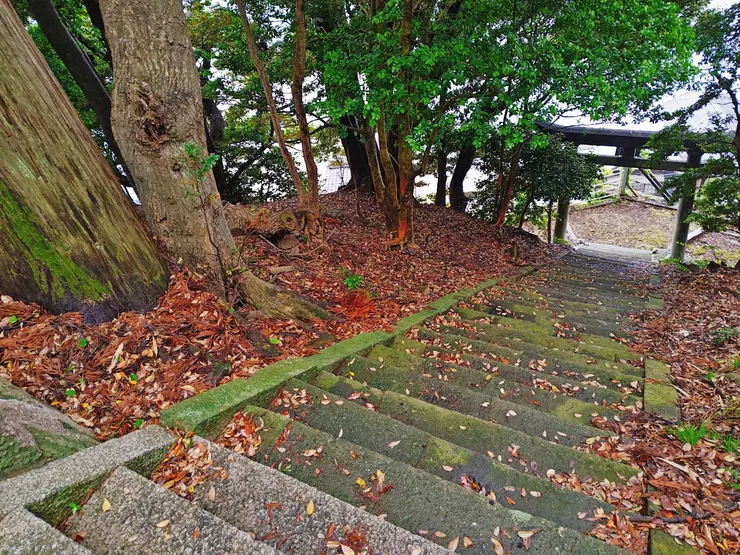 伊根八坂神社 石段