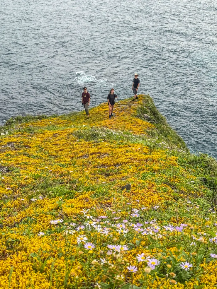 小島上藏著美景～