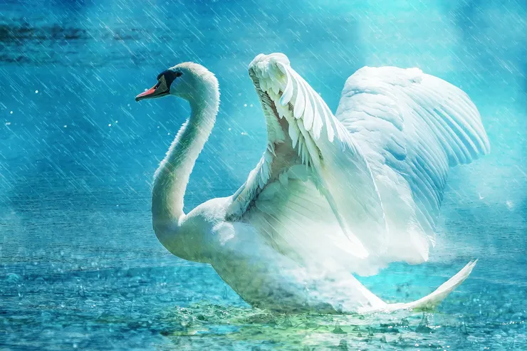 (圖片來源，可商用免費圖庫Pixabay)