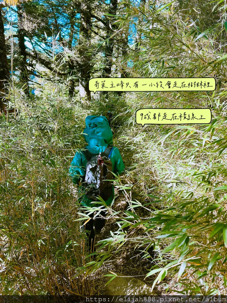 【來去奇萊主北】D2稜線營地/奇萊主峰享日光/一日奇萊主北/